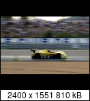 24 HEURES DU MANS YEAR BY YEAR PART FIVE 2000 - 2009 - Page 18 2003-lm-24-portayojirhhej8