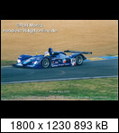24 HEURES DU MANS YEAR BY YEAR PART FIVE 2000 - 2009 - Page 18 2003-lm-31-alliothall8gia6