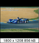 24 HEURES DU MANS YEAR BY YEAR PART FIVE 2000 - 2009 - Page 18 2003-lm-31-alliothalli8eti