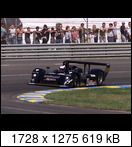24 HEURES DU MANS YEAR BY YEAR PART FIVE 2000 - 2009 - Page 16 2003-lm-4-goossens-mayvchj