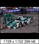 24 HEURES DU MANS YEAR BY YEAR PART FIVE 2000 - 2009 - Page 16 2003-lm-414-nasamax-0trikb