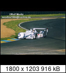 24 HEURES DU MANS YEAR BY YEAR PART FIVE 2000 - 2009 - Page 16 2003-lm-5-aramagnusseypd04