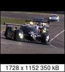 24 HEURES DU MANS YEAR BY YEAR PART FIVE 2000 - 2009 - Page 16 2003-lm-8-herbertbrabevfy1