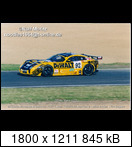 24 HEURES DU MANS YEAR BY YEAR PART FIVE 2000 - 2009 - Page 21 2003-lm-92-cainejordag2d8a