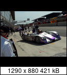 24 HEURES DU MANS YEAR BY YEAR PART FIVE 2000 - 2009 - Page 21 2004-lmtd-8-kaffermcnsndgq