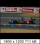 24 HEURES DU MANS YEAR BY YEAR PART FIVE 2000 - 2009 - Page 26 2005-lm-13-shinjinaka0hi3k