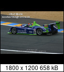 24 HEURES DU MANS YEAR BY YEAR PART FIVE 2000 - 2009 - Page 26 2005-lm-8-michaelkrumszc0y