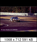 24 HEURES DU MANS YEAR BY YEAR PART FIVE 2000 - 2009 - Page 30 2005-lm-92-joemacarisqhcgb