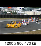 24 HEURES DU MANS YEAR BY YEAR PART FIVE 2000 - 2009 - Page 31 2006-lm-100-start-002asfuk