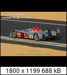 24 HEURES DU MANS YEAR BY YEAR PART FIVE 2000 - 2009 - Page 31 2006-lm-8-frankbielaeodeyd