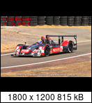 24 HEURES DU MANS YEAR BY YEAR PART FIVE 2000 - 2009 - Page 31 2006-lmtd-5-haroldprie6e6u