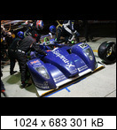 24 HEURES DU MANS YEAR BY YEAR PART FIVE 2000 - 2009 - Page 37 2007-lm-18-stuarthallf3eca