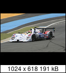 24 HEURES DU MANS YEAR BY YEAR PART FIVE 2000 - 2009 - Page 37 2007-lmtd-15-alexyoon0yezq