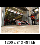 24 HEURES DU MANS YEAR BY YEAR PART FIVE 2000 - 2009 - Page 41 2008-lm-1-frankbielaeu0dnh