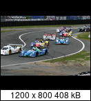 24 HEURES DU MANS YEAR BY YEAR PART FIVE 2000 - 2009 - Page 41 2008-lm-100-start-000kpe5b