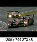 24 HEURES DU MANS YEAR BY YEAR PART FIVE 2000 - 2009 - Page 41 2008-lm-2-allanmcnish4ee3k