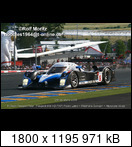24 HEURES DU MANS YEAR BY YEAR PART FIVE 2000 - 2009 - Page 41 2008-lm-8-pedrolamystz3f8c