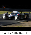 24 HEURES DU MANS YEAR BY YEAR PART FIVE 2000 - 2009 - Page 41 2008-lm-9-franckmontawuems