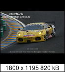 24 HEURES DU MANS YEAR BY YEAR PART FIVE 2000 - 2009 - Page 47 2008-lm-96-timsugdenrqmfgi