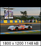 24 HEURES DU MANS YEAR BY YEAR PART FIVE 2000 - 2009 - Page 51 2009-lm-009-peterkoxhmwfoi