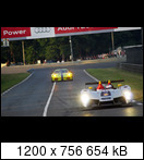 24 HEURES DU MANS YEAR BY YEAR PART FIVE 2000 - 2009 - Page 47 2009-lm-1-allanmcnish6adet