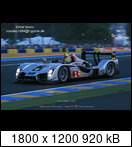 24 HEURES DU MANS YEAR BY YEAR PART FIVE 2000 - 2009 - Page 47 2009-lm-1-allanmcnishneels