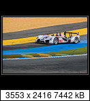 24 HEURES DU MANS YEAR BY YEAR PART FIVE 2000 - 2009 - Page 47 2009-lm-3-alexandreprohcr4