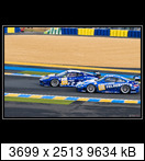 24 HEURES DU MANS YEAR BY YEAR PART FIVE 2000 - 2009 - Page 50 2009-lm-70-horstfelbee8ezt