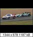 24 HEURES DU MANS YEAR BY YEAR PART FIVE 2000 - 2009 - Page 51 2009-lm-80-jorgbergmenxewk