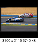 24 HEURES DU MANS YEAR BY YEAR PART FIVE 2000 - 2009 - Page 51 2009-lm-80-jorgbergmey0fl2
