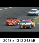 24 HEURES DU MANS YEAR BY YEAR PART FIVE 2000 - 2009 - Page 51 2009-lm-81-joeyfoster3dfj8