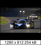 24 HEURES DU MANS YEAR BY YEAR PART FIVE 2000 - 2009 - Page 47 2009-lm-9-alexanderwulke74