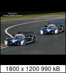 24 HEURES DU MANS YEAR BY YEAR PART FIVE 2000 - 2009 - Page 47 2009-lm-9-alexanderwuqhcso