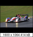 24 HEURES DU MANS YEAR BY YEAR PART SIX 2010 - 2019 - Page 2 2010-lm-37-tristangom1pcie
