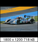 24 HEURES DU MANS YEAR BY YEAR PART SIX 2010 - 2019 - Page 3 2010-lm-42-nickleventoyiv8