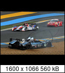 24 HEURES DU MANS YEAR BY YEAR PART SIX 2010 - 2019 - Page 3 2010-lm-42-nickleventt7daw