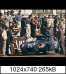 24 HEURES DU MANS YEAR BY YEAR PART ONE 1923-1969 - Page 61 64lm05cobradayd.gurnew7kx3
