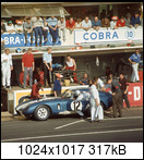 24 HEURES DU MANS YEAR BY YEAR PART ONE 1923-1969 - Page 64 65lm12acshelbycobradab7j66