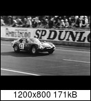 24 HEURES DU MANS YEAR BY YEAR PART ONE 1923-1969 - Page 65 65lm41ar.giuliatz2robc0knm